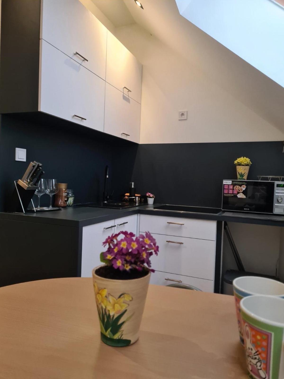 Apartment Zvonarska With Parking Košice Εξωτερικό φωτογραφία